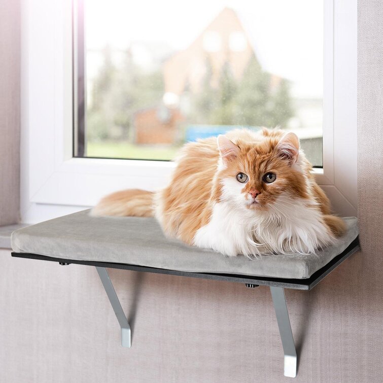 The refined feline window hotsell cat perch